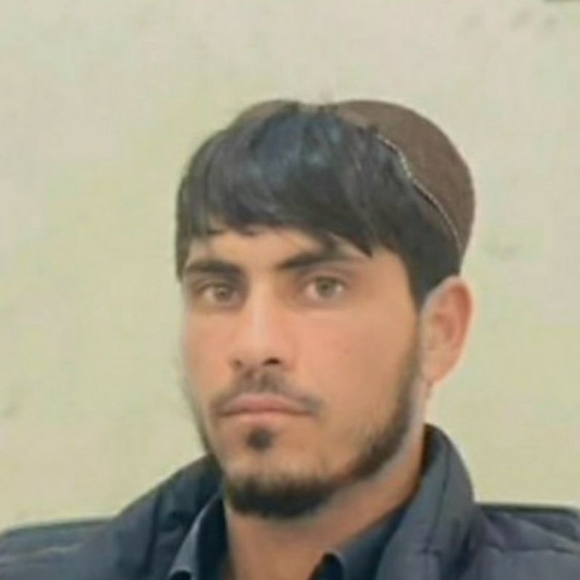 معرفی اعضا